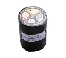 堅寶聚氯乙烯電力電纜VV22