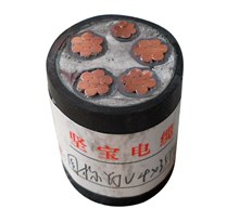 堅寶電纜 國標電纜 工程電纜