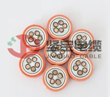 堅寶礦物電纜YTTW