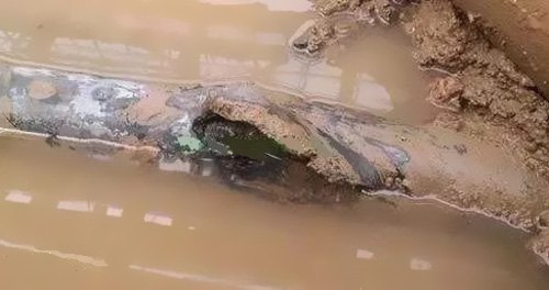 廣東堅寶電纜有限公司